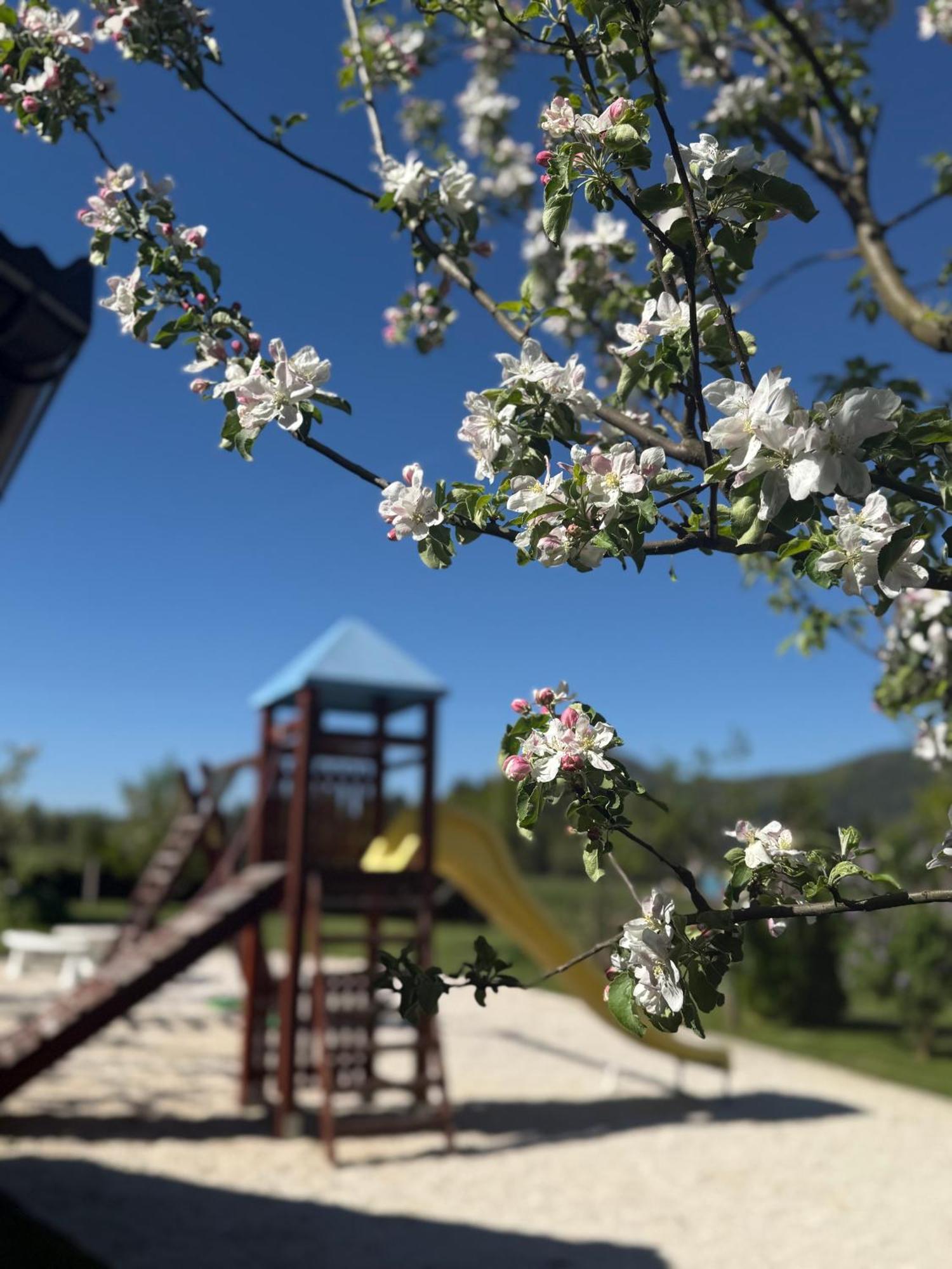 Plitvice Pension Perisic コレニツァ エクステリア 写真